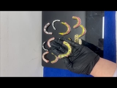 টি-বার জিরকোনিয়া হাইব্রিড ব্রিজ