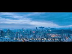 জোয়েডেনটালাবের জনপ্রিয় পণ্যঃ সিমুলেটেড নান্দনিক ফিনিয়ার